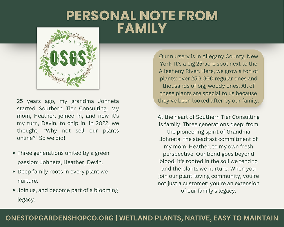 Thumbnail: Lobelia cardinalis | Cardinal Flower | Starter Plant Plug