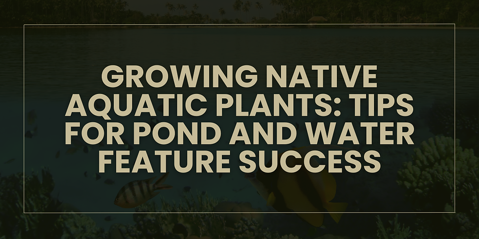 Growing Native Aquatic Plants: Tips for Pond and Water Feature Success