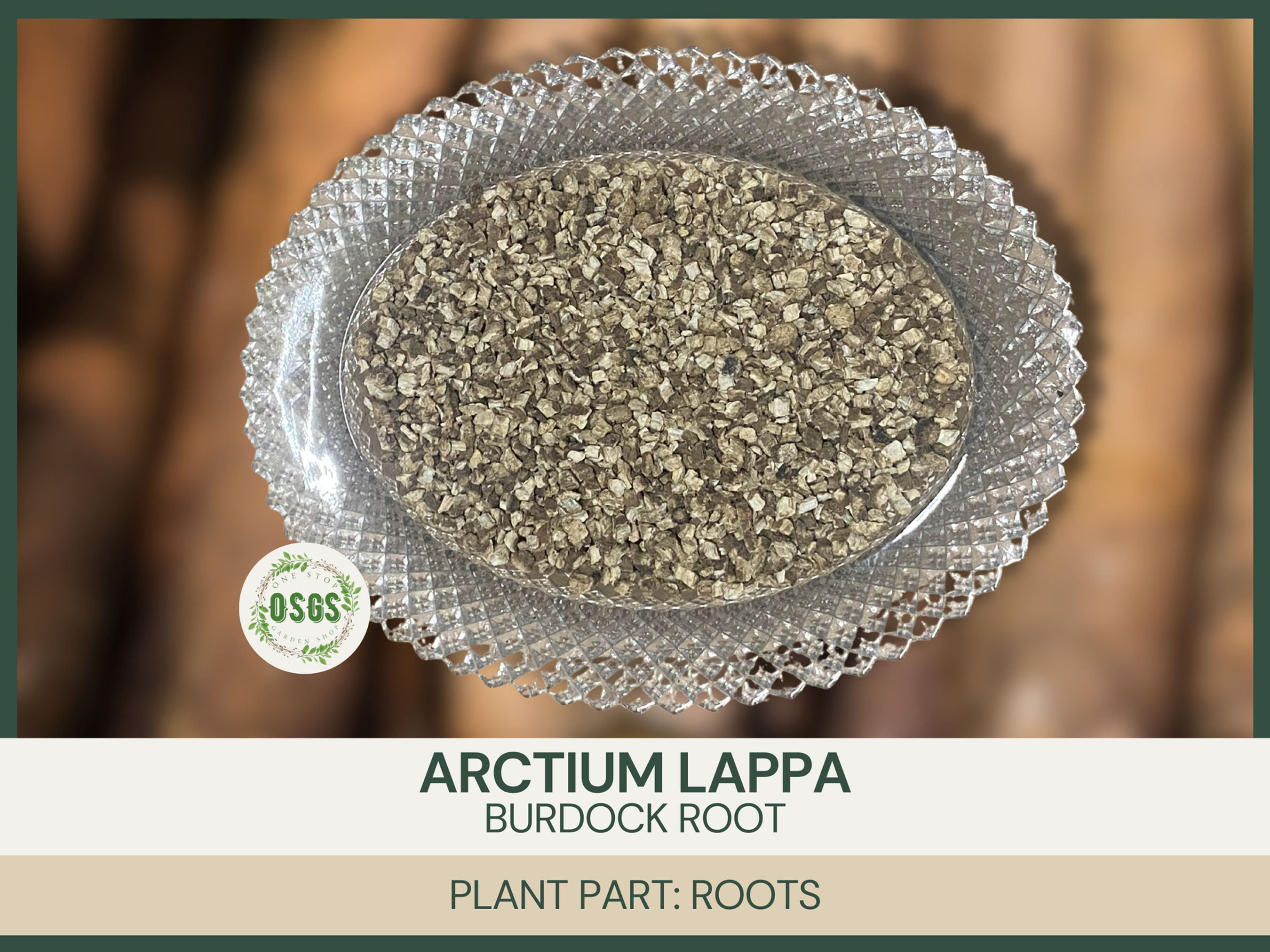 Arctium lappa | Burdock Root | Cut & Sifted