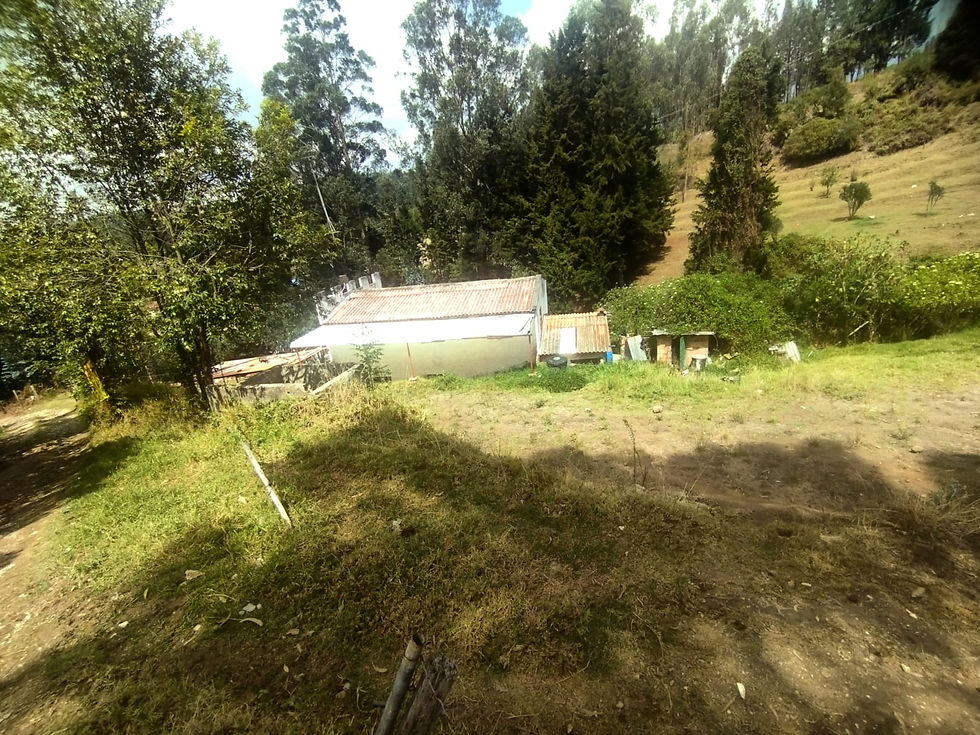 Miniatura: Lote Vereda La Laguna