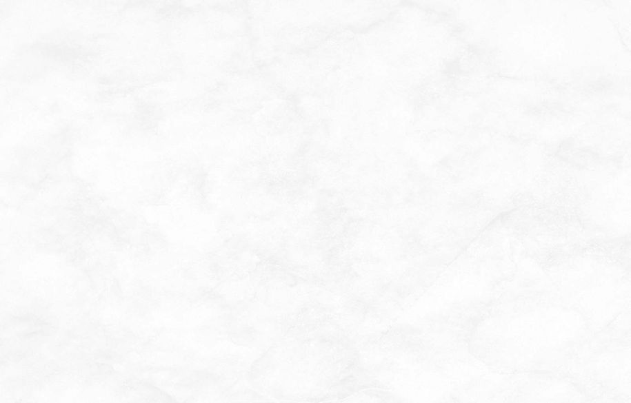 white background final.jpg