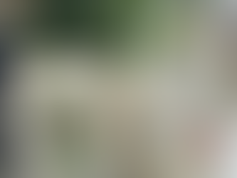         April Book Events & a Giveaway