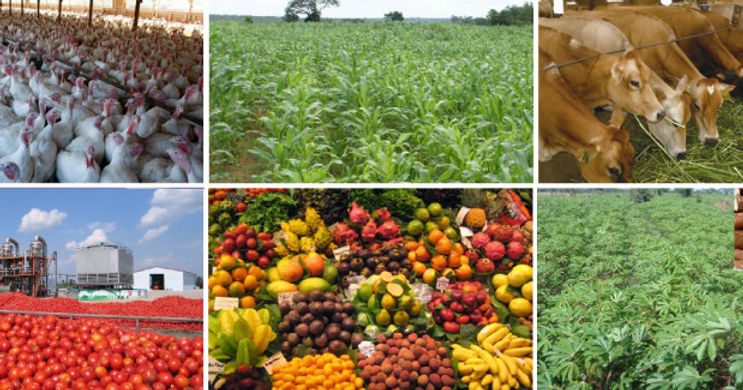 Agriculture in Nigeria.jpg