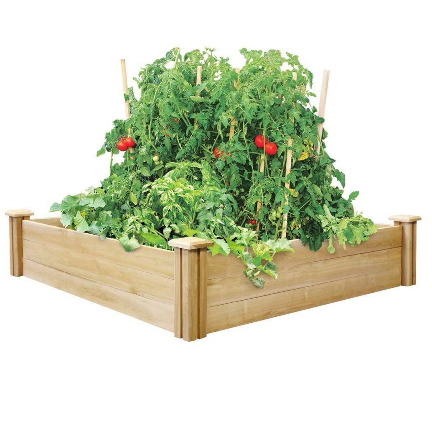 4ft x 4ft Outdoor Cedar Wood Raised Garden Bed Planter Box
