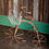 Thumbnail: Vintage-Style Tricycle Planter