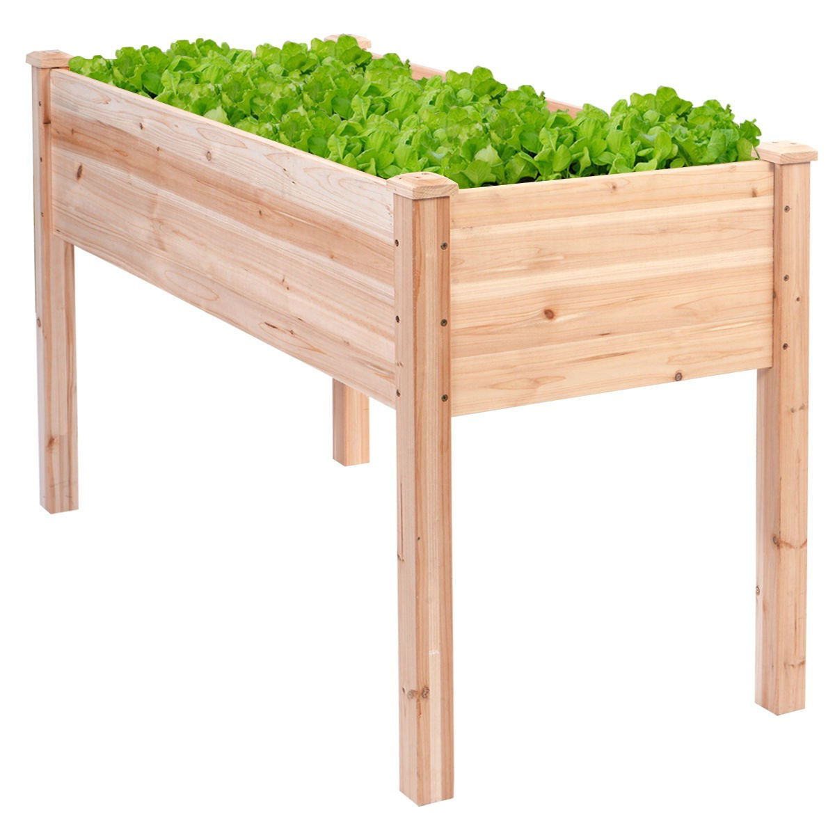 Chinese Cedar Wood 30-inch High Raised Garden Bed Planter Box