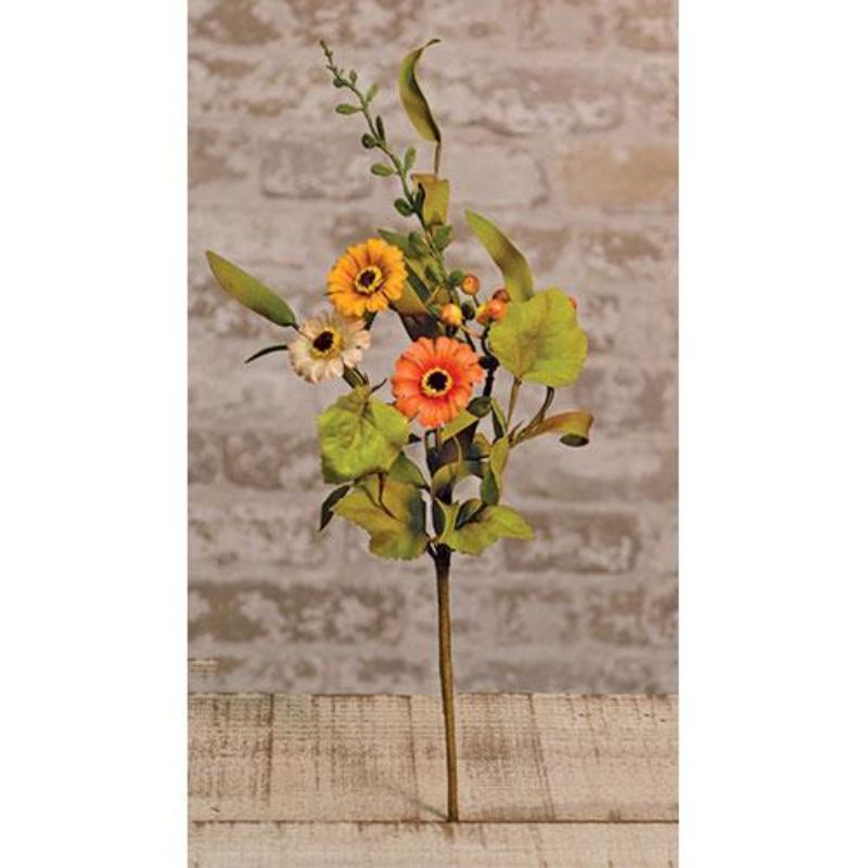 Harvest Daisy Garden Bush