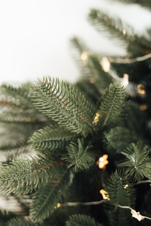 Duurzame kerst