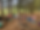 2021-10-12_09-46-43_183.heic