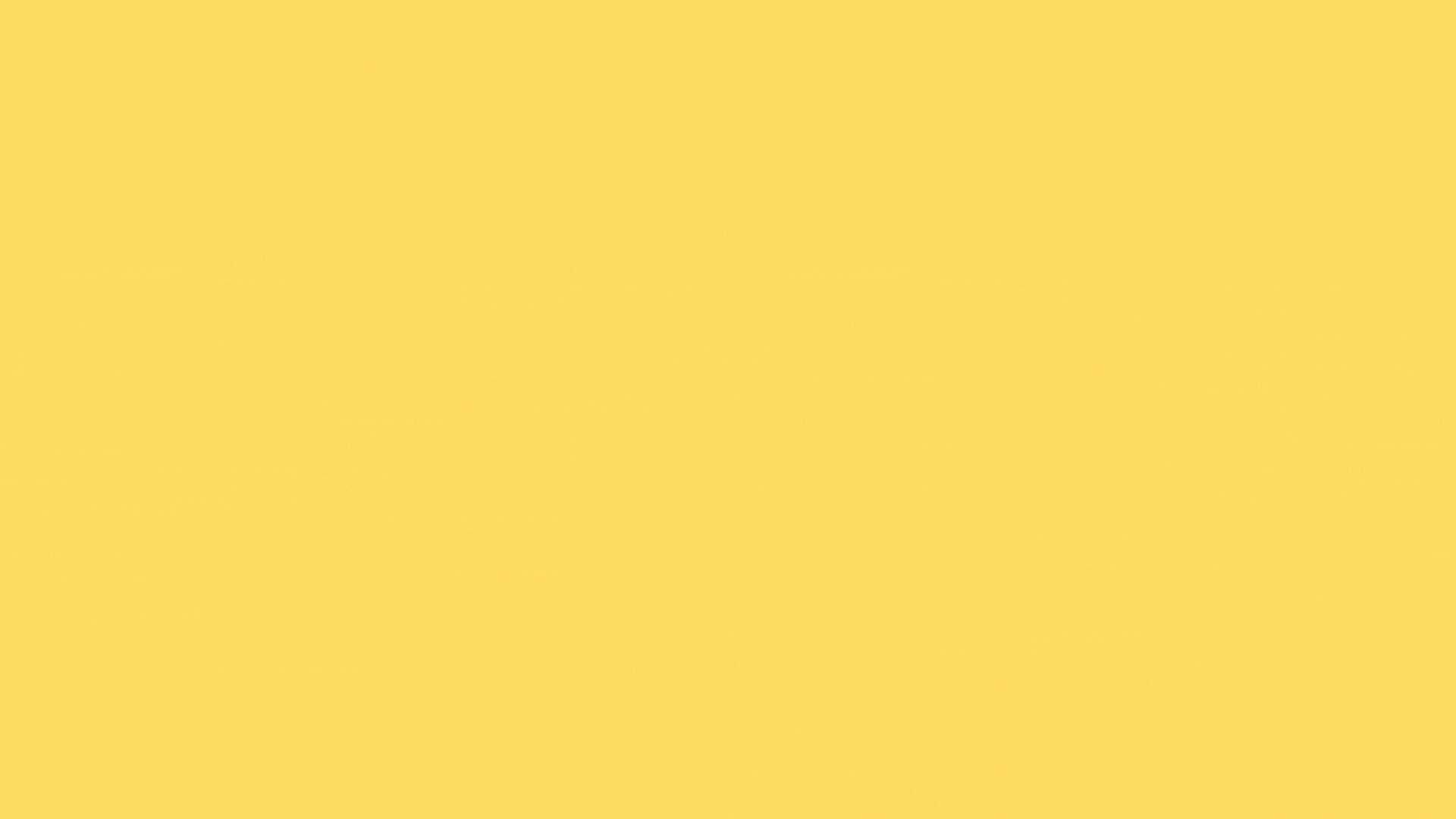 Program.gif