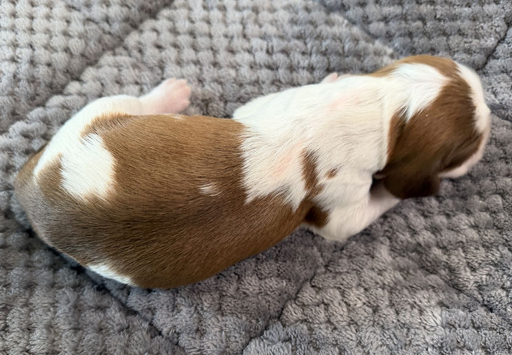 Born To Be Wild.JPG