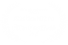 BEST MUSIC VIDEO AWARD FINALIST - Austin Micro Film Festival - 2025
