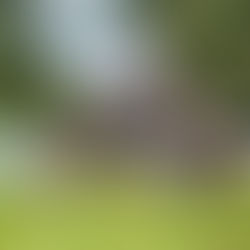 Grade 7 Outdoor Education Trip Photos