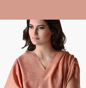 Premium Cashmere & Pashmina Handloom Stole