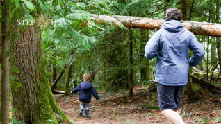 A man and a child running through the woods Masculinity in Crisis: What the Modern Man Needs from Mental Health Support