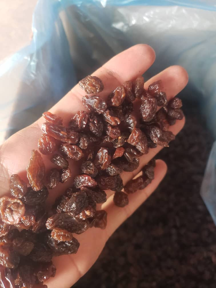 Küçük resim: Baykar Toptan Gıda - Doğadan Sofranıza Toptan Kuru Üzüm Ticareti