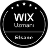 Wix Uzan Web Tasarım Wix Uzman Rozeti