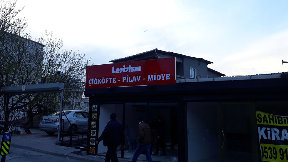 Lezizhan Pleksi Tabela (2)