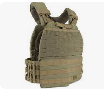 Best Plate Carrier for the Money!