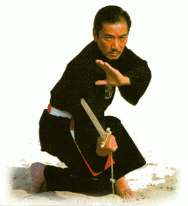 maitre_tran-273x300.gif