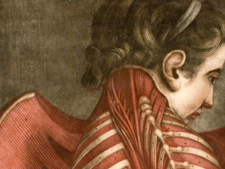 Dal 22 ottobre Palazzo delle Esposizioni di Roma ospita le “Sublimi anatomie”