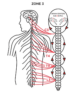 A Zone chart