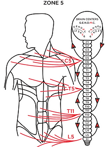A Zone chart