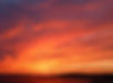 pexels-pixabay-33834.jpg
