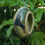 Thumbnail: Stoneware Bird Feeder Ring (Cobalt/Lime/Forest)