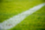 Soccer grass.jpg