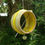 Thumbnail: Stoneware apple or suet bird feeder ring (Lime and Yellow)