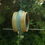 Thumbnail: Stoneware apple or suet bird feeder ring ( Lime and Turquoise)