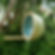 Coconut style bird feeder for small garden birds, stamped (Lime/Turquoise)