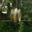 Thumbnail: Stoneware apple or suet bird feeder ring (Forest and Lime)