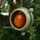 Thumbnail: Stoneware apple or suet bird feeder ring (Forest and Lime)