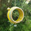 Thumbnail: Stoneware apple or suet bird feeder ring (Turquoise and Yellow)