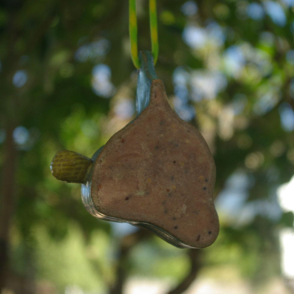 Thumbnail: Funky Fat Feeder/ suet feeder for small garden birds. (Yellow/lime)