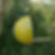 Coconut style bird feeder for small garden birds (Yellow & Turquoise)