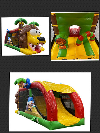 Stormbaan leeuw te huur (1).jpg