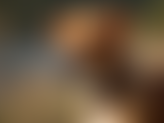 Accessoires de qualité pour chats et chiens en Madagascar