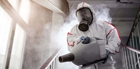 ape maia pulizie modena