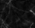 Untitled design (16)_edited.jpg