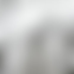 NAJAVA: Odavanje počasti Josipu Joviću, prvom hrvatskom redarstveniku i obilježavanje 35. godišnjice akcije „Plitvice“