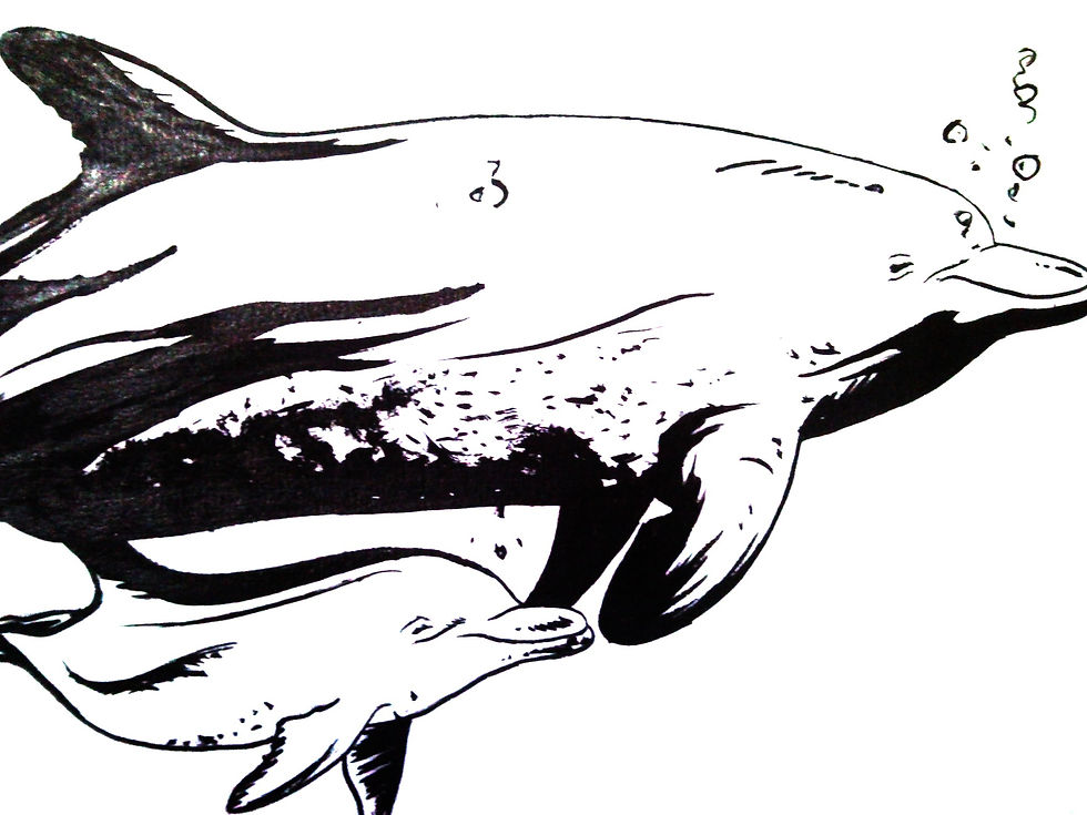 LEARNING TO SWIM (2007)