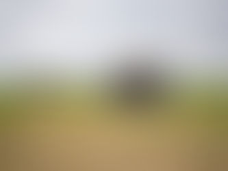 360 RAIN Path Requests – How to?