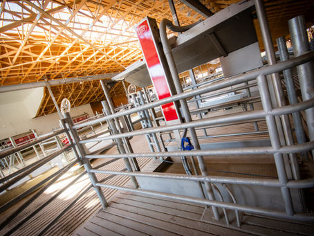 Why Hoof Trimmers Call It “Blocktober”