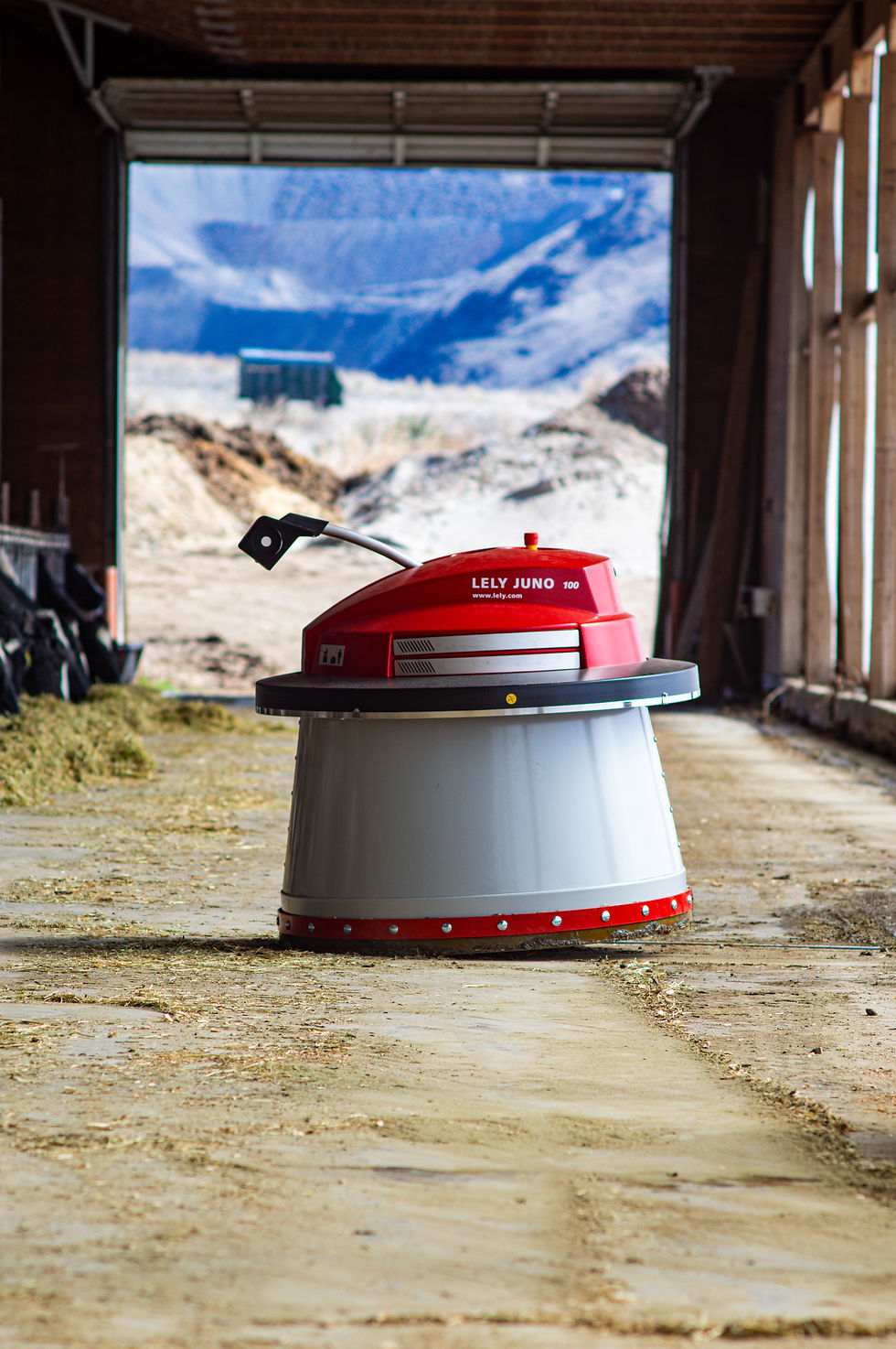 More Milk, Less Labor: How the Lely Juno Pays Off on BC Dairy Farms