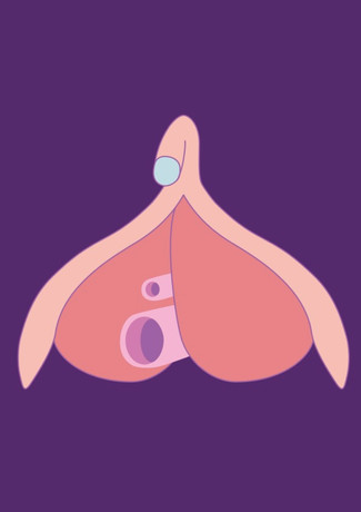 EDUCATIONAL
ILLUSTRATIONS