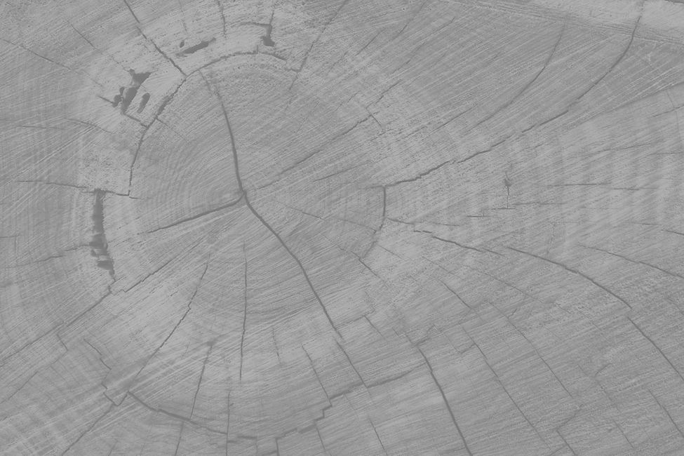 log b&w_edited.jpg