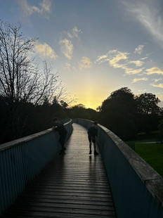 Who we are | Habitat+ Architects